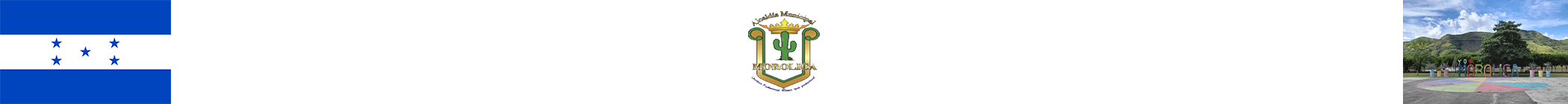 Banner Superior SIMSAN Morolica